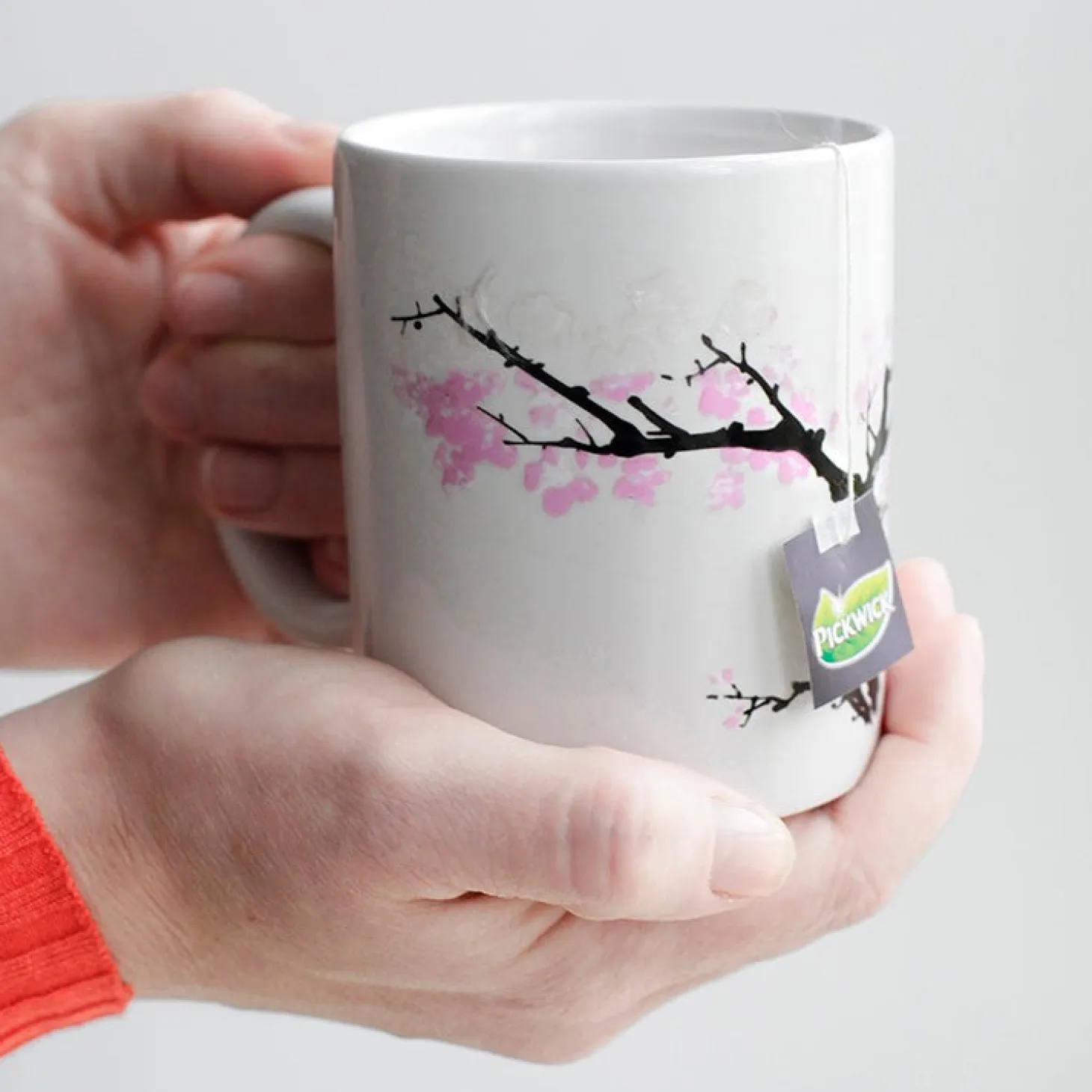 Blossom Morph Mug