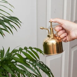 Brass Plant Mister