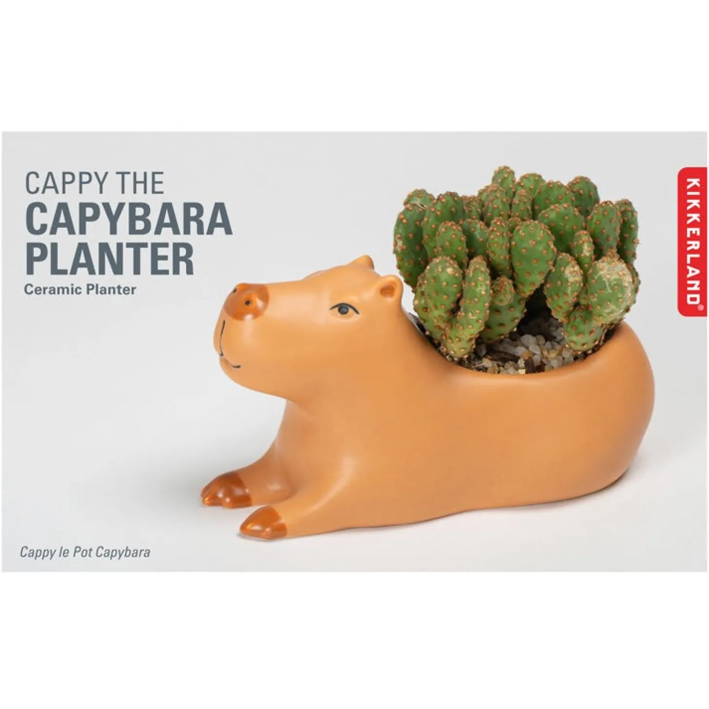 Cappy the Capybara Planter Large