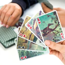 3-D Dino Cards