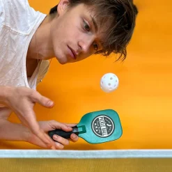 Desktop Pickleball
