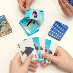 3-D Fish Cards