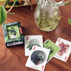 3D Plant Cards