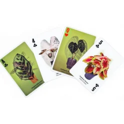 3D Plant Cards