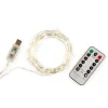 Extra Long! Silver String Lights