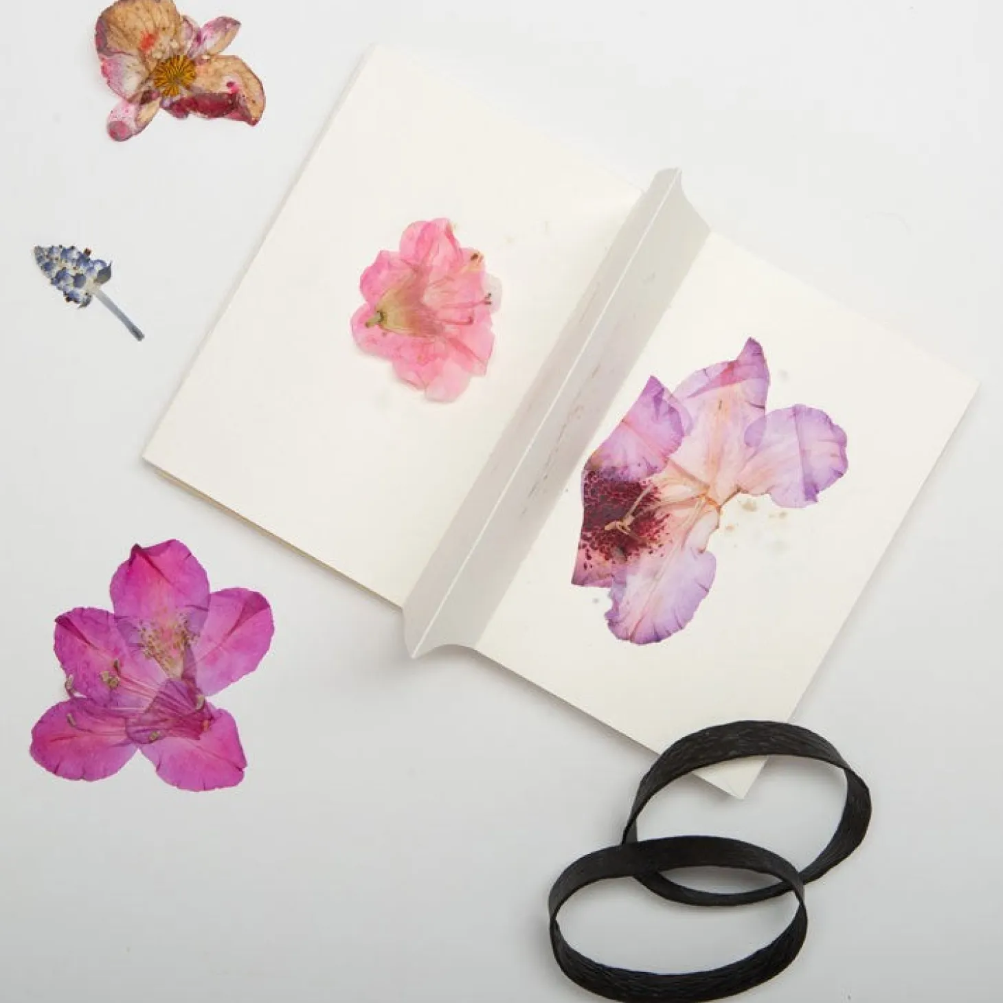 Field Flower Press