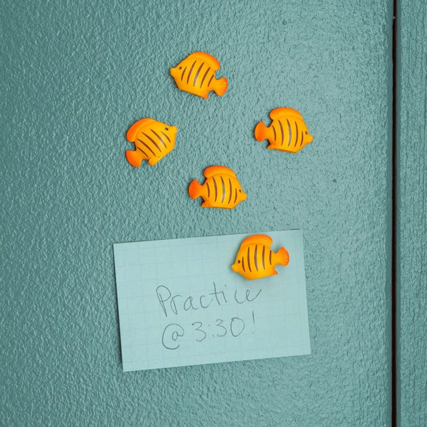 Fish Magnets