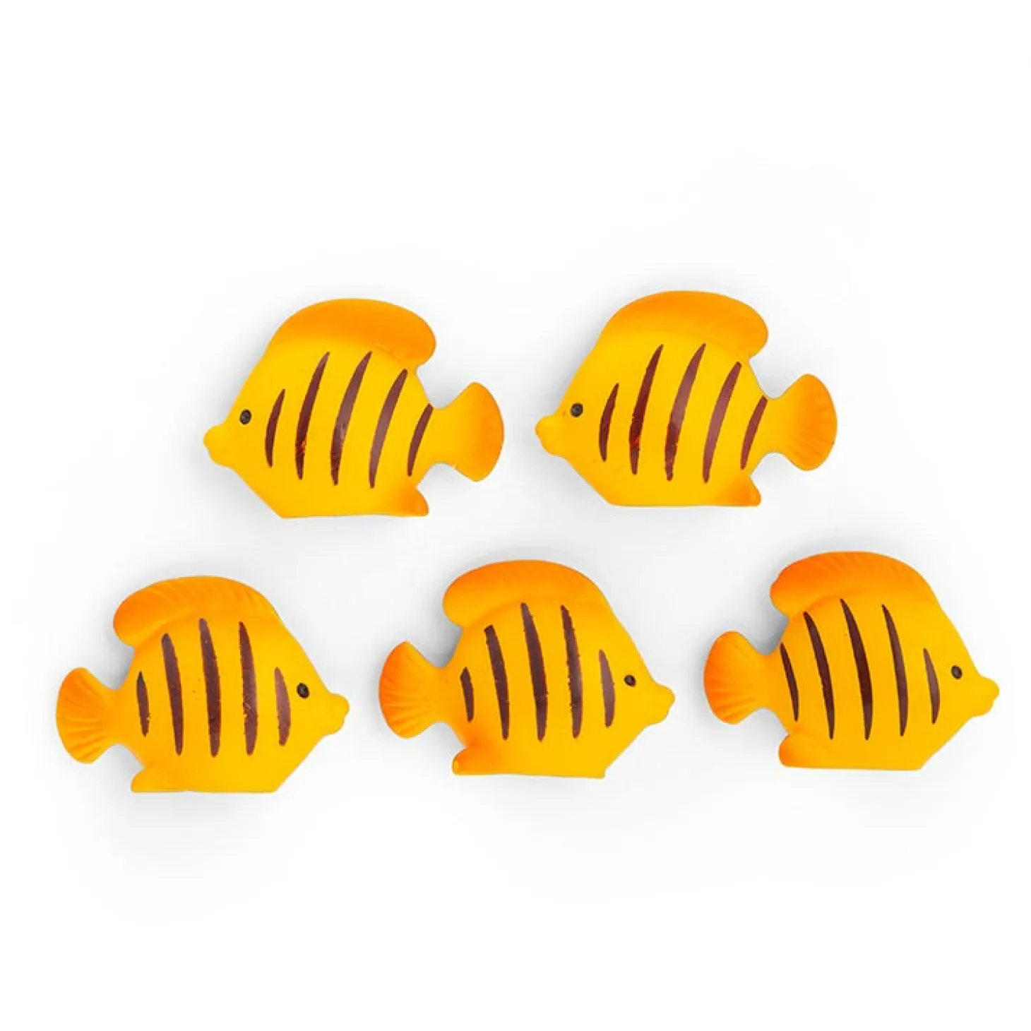Fish Magnets
