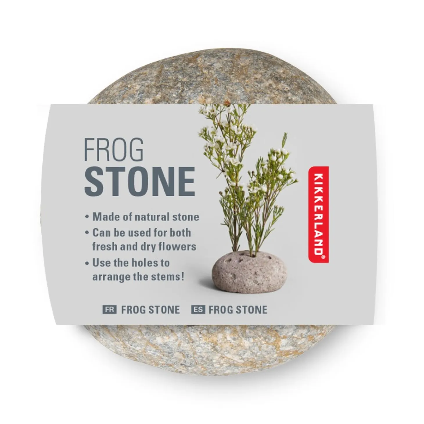 Frog Stone