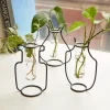 Geo Vase Propagation Station