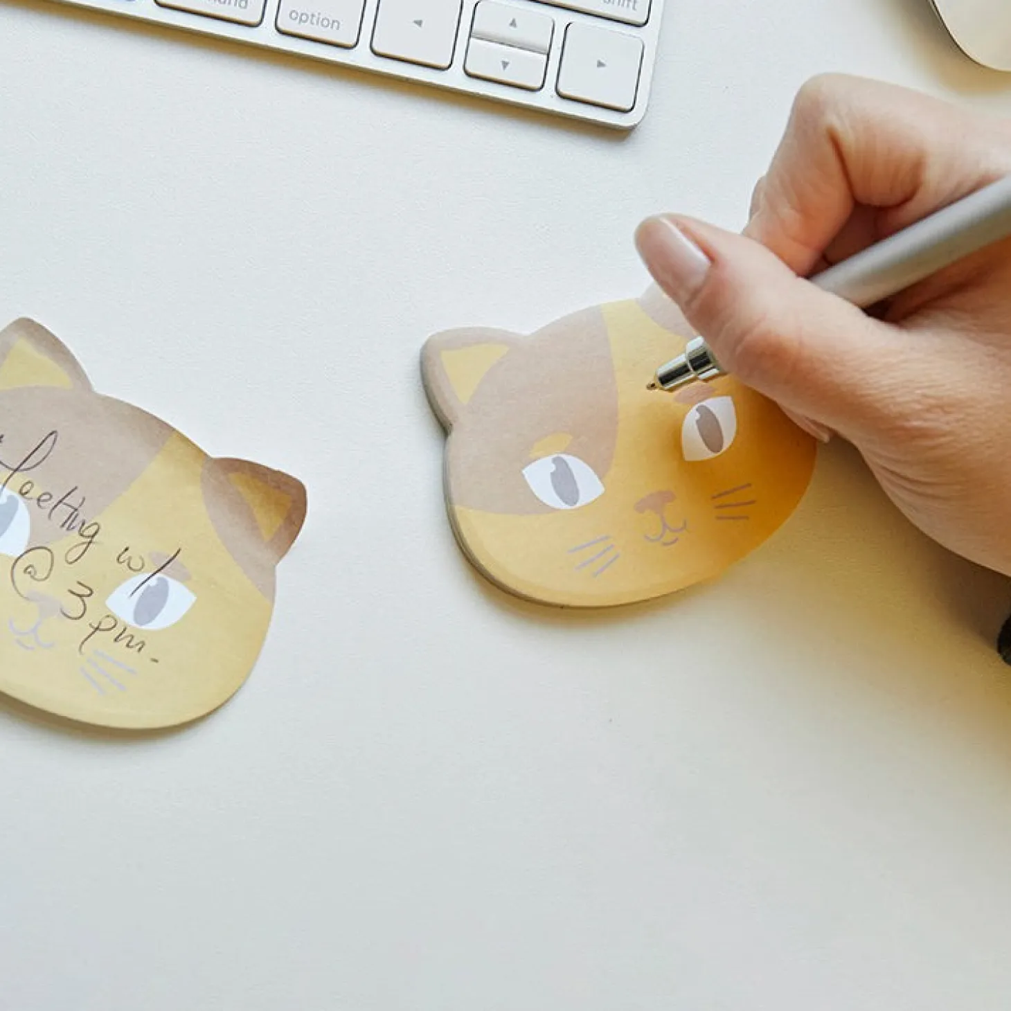 Kitty Cat Sticky Notes