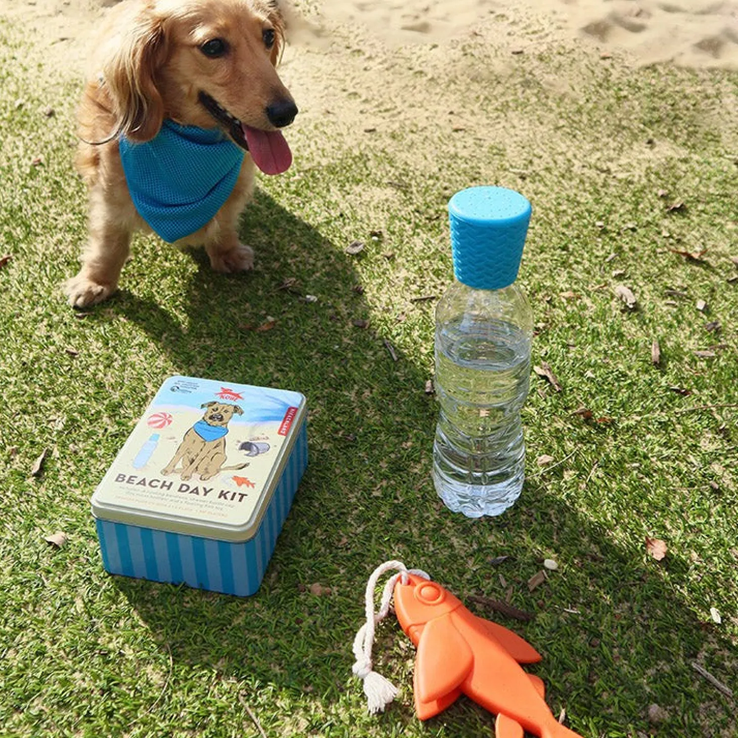 Kobe Beach Day Kit