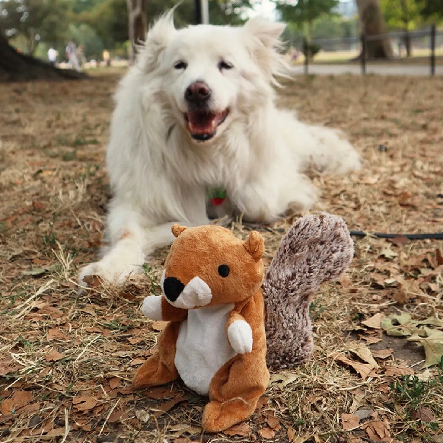 Kobe 2 in 1 Dog Toy