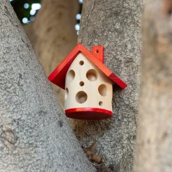 Ladybug House