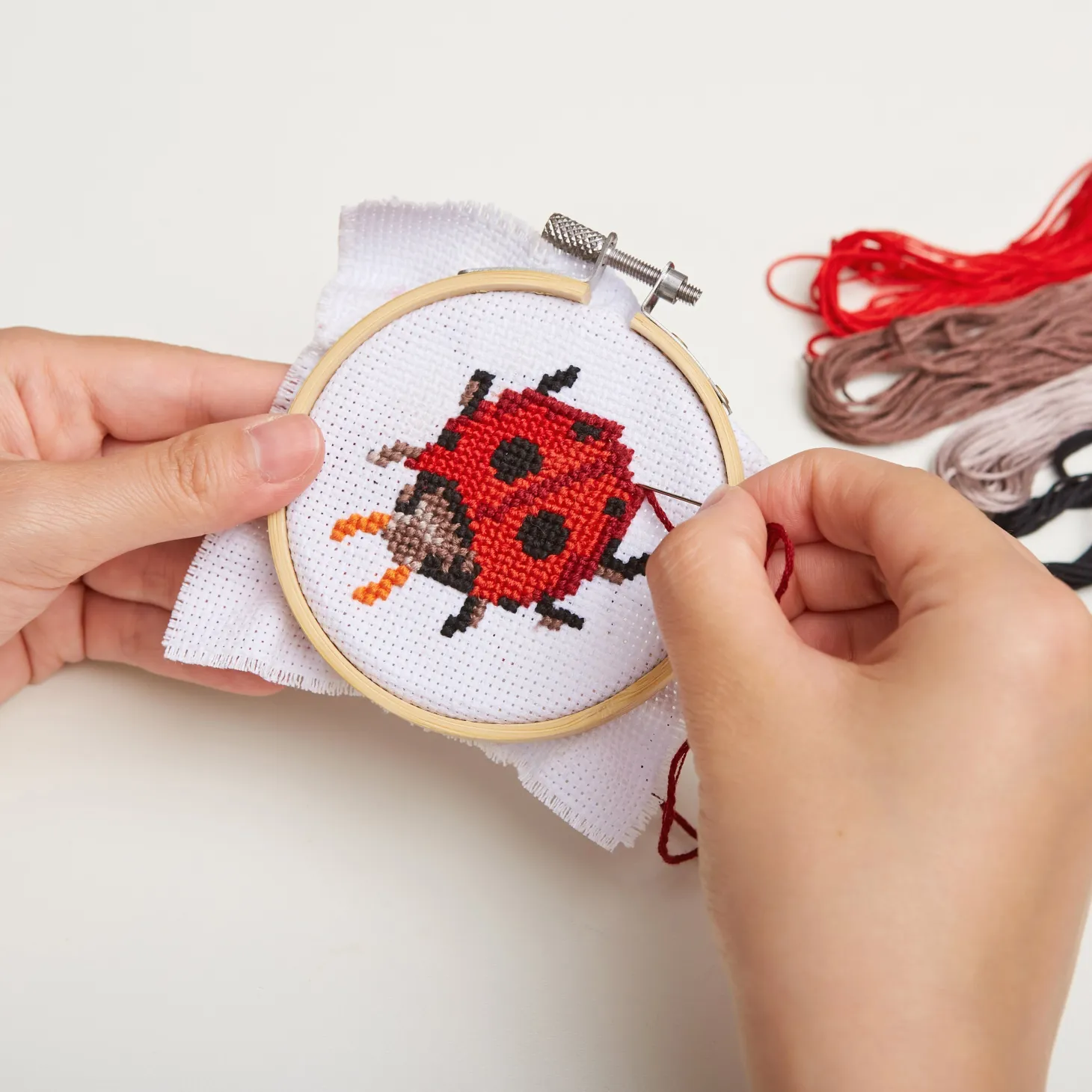 Ladybug Mini Cross Stitch Embroidery Kit