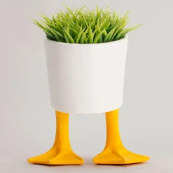 Large Duck Feet Planter