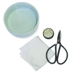 Mini Ikebana Kit