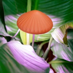 Mushroom Grow Light