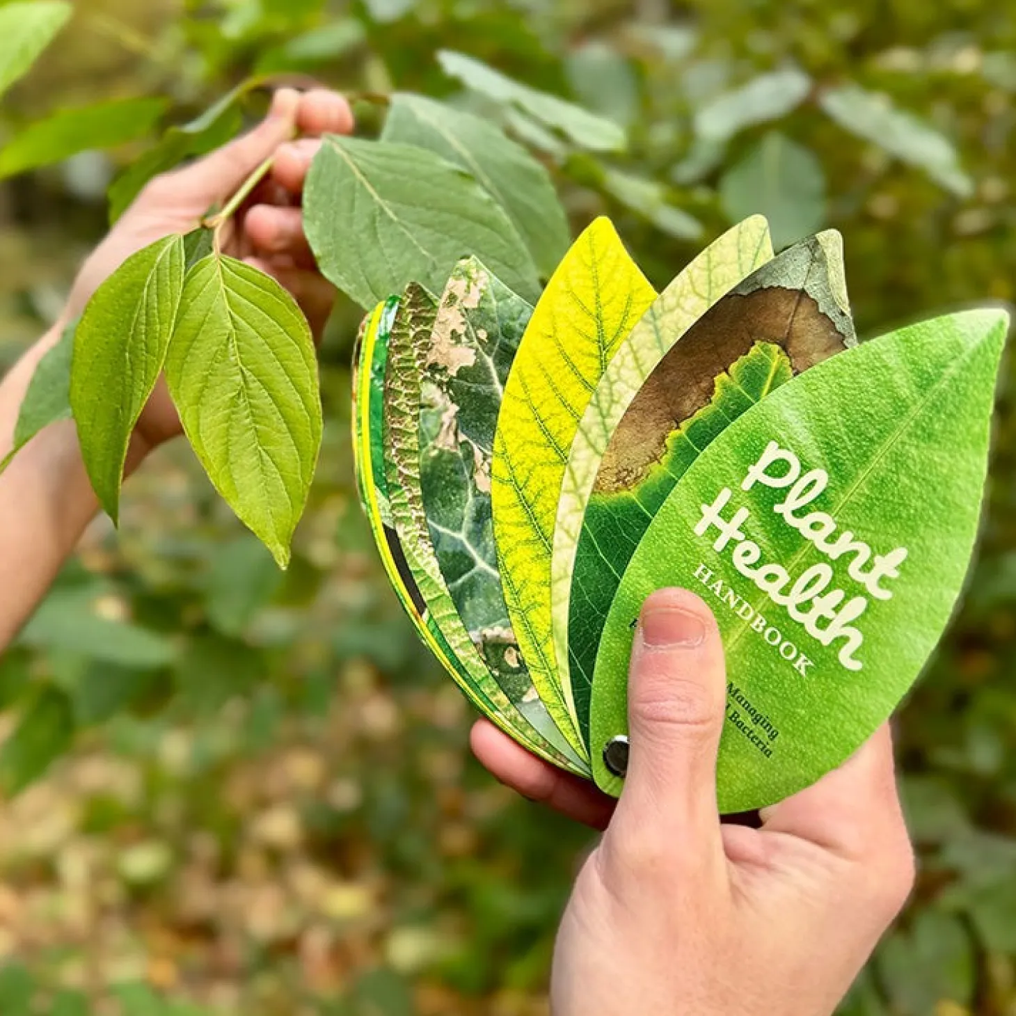 Plant Health Handbook