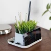 Potted Phone stand and Pen Holder