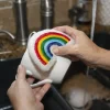 Rainbow Sponges