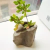 Short Rock Vase