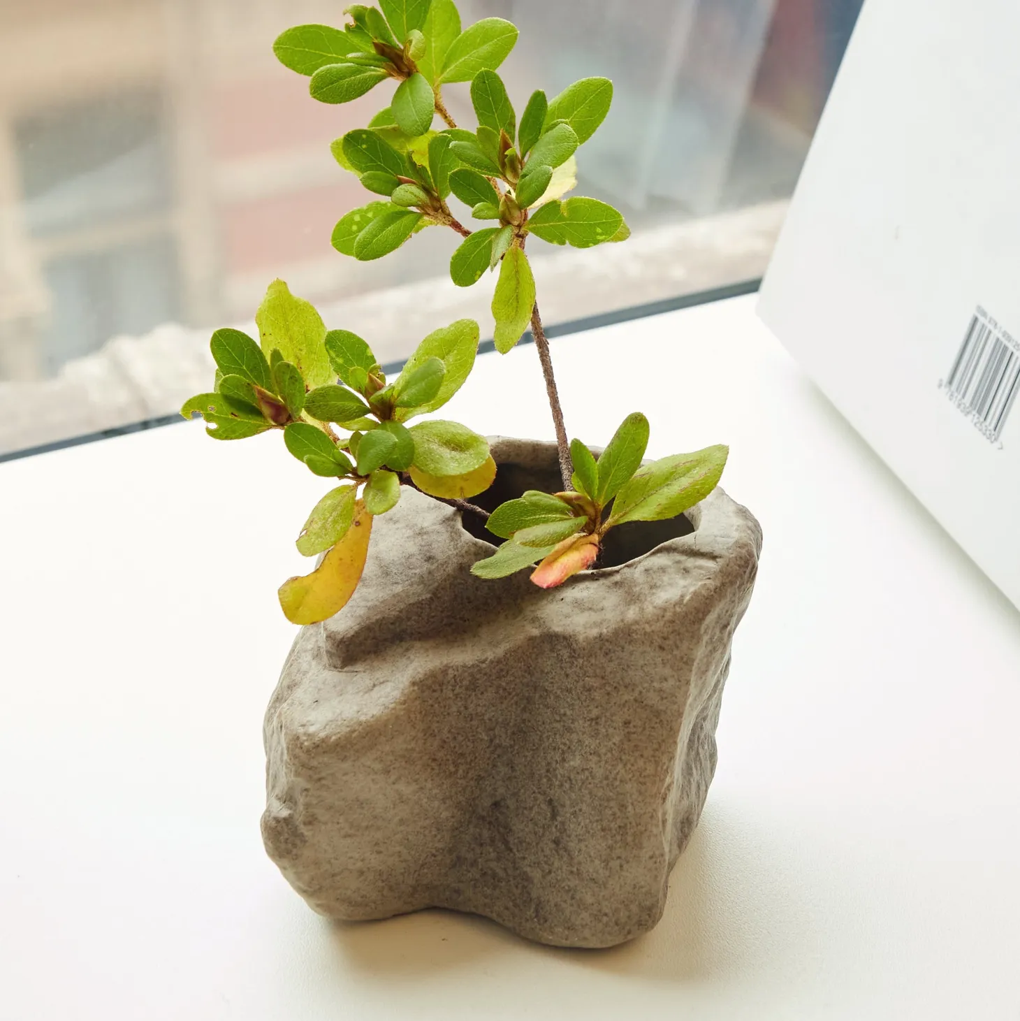 Short Rock Vase