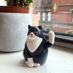 Solar Cat