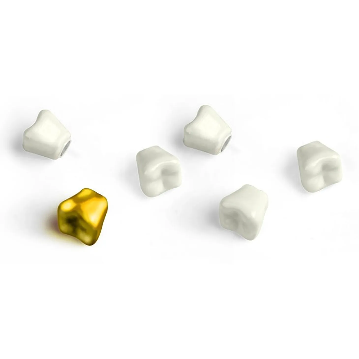 Teeth Magnets