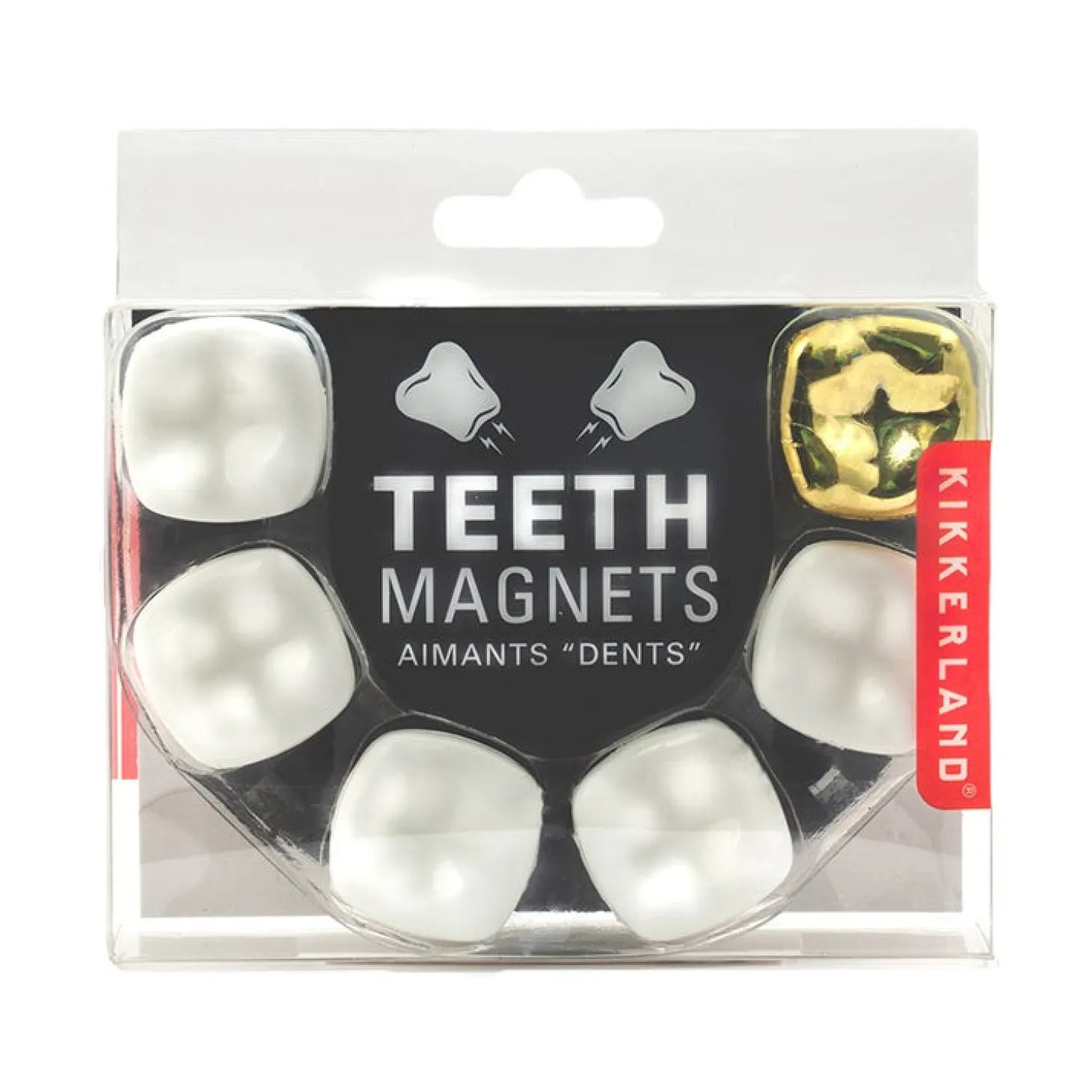 Teeth Magnets
