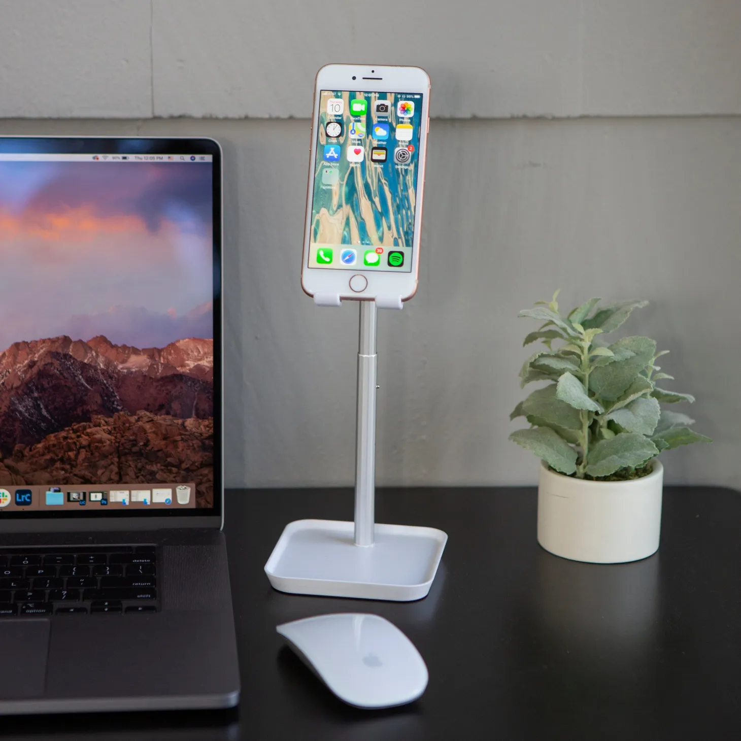 The Perfect Phone Stand in White