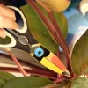 Toucan Kitchen Shears