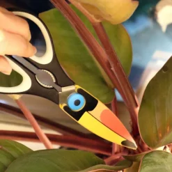 Toucan Kitchen Shears