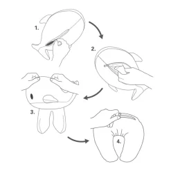 Whale Zip & Flip Travel Pillow