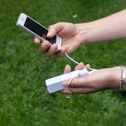 White Power Bank